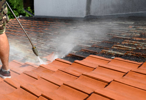 Best Sidewalk Pressure Washing  in Greenville, FL