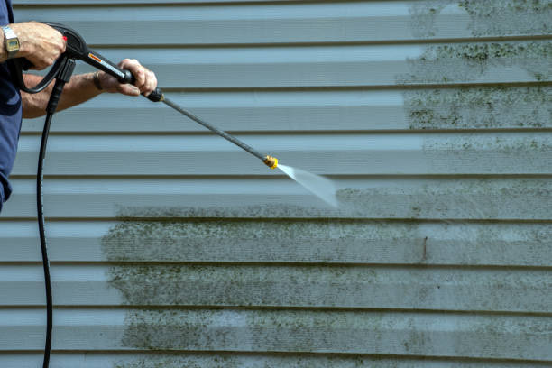 Best Pressure Washing Patio  in Greenville, FL