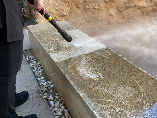 Best Roof Pressure Washing  in Greenville, FL