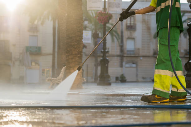 Best Roof Pressure Washing  in Greenville, FL